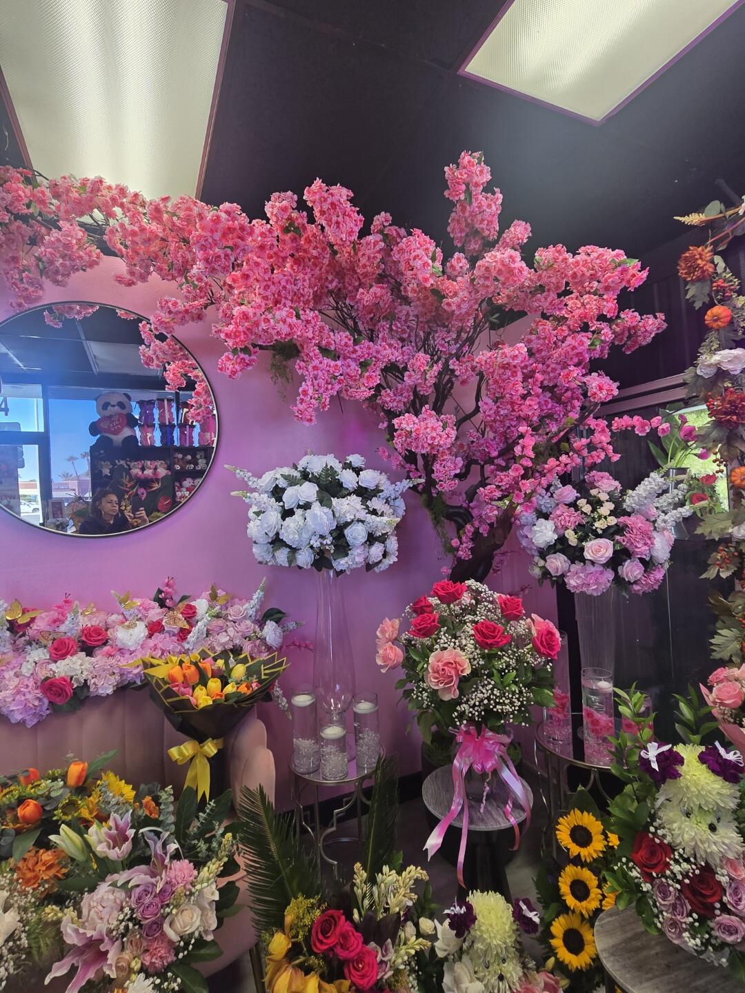 Images of inside Camila's Store